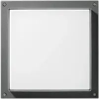 Performance In Lighting LED Opbouwarmatuur | 39W 4000K 2495lm 840 | IP65 DALI Dimbaar
