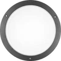 Performance In Lighting LED Opbouwarmatuur Ø302mm | 30W 4000K 2343lm 840 | IP65 DALI Dimbaar