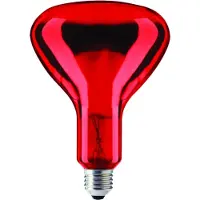 Schiefer E27 Infrarood Lamp | 100W 220V/240V R95
