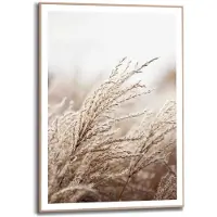 Overig Schilderij Helmgras Slim Frame - Mdf - Zand - 50x70cm