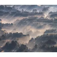 Overig Fotobehang Rays - Meerkleurig - 2,50m X 300cm