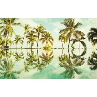 Overig Fotobehang Key West - Groen - 2,50m X 400cm