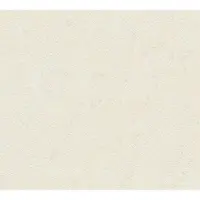 A.S. Création Casual Living - Beige - Gipslook - 393874
