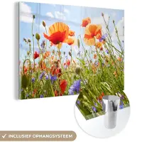 MuchoWow Glasschilderij 90x60 cm - Schilderij acrylglas - Bloemen - Klaproos - Lente - Natuur - Rood - Blauw - Foto op glas - Muurdecoratie woonkamer - Wanddecoratie slaapkamer - Schilderijen