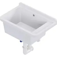 QLS Gootsteen 50x34 cm van Kunststof met Sifon Wit Garage Werkplaats 11122