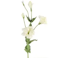 Countryfield Lisianthus Wit