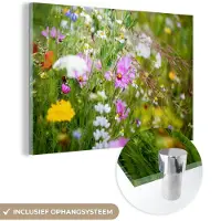 MuchoWow Glasschilderij 30x20 cm - Schilderij acrylglas - Bloemen - Natuur - Groen - Gras - Paars - Wit - Foto op glas - Muurdecoratie woonkamer - Wanddecoratie slaapkamer - Schilderijen