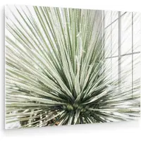 MuchoWow Glasschilderij 40x30 cm - Schilderij acrylglas - Groen - Bladeren - Natuur - Foto op glas - Muurdecoratie woonkamer - Wanddecoratie slaapkamer - Schilderijen