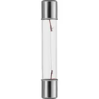 Schiefer SF6 Gloeilamp | 3W 24V 125mA 2500K | 6x36mm | 10 stuks