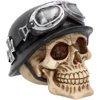 Nemesis Now - Gothic Schedel - Iron Cross Skull - voor Geen - standaard | Maat Standard