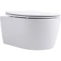 Aloni Pro ophang wc - randloos - incl. zitting - wit PRO5514.01