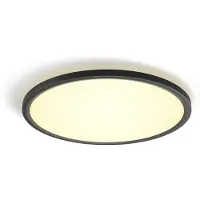 Philips Hue Tento plafondlamp Zwart Rond Ø43 cm - WA