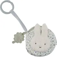 Little Dutch Nijntje x lucky leaves buggyboekje