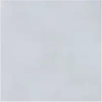 Alberts Gladde Plaat - Verzinkt Staal - Gegalvaniseerd - 600x1000x0,75mm