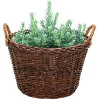 Mega Collections plantenmand Santa Fe - D35 x H24 cm - incl handgreep - rotan