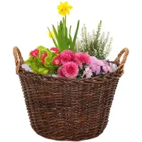 Mega Collections plantenmand Santa Fe - D52 x H33 cm - incl handgreep - rotan