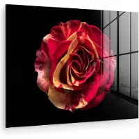 MuchoWow Glasschilderij 160x120 cm - Schilderij acrylglas - Bloem - Roos - Rood - Zwart - Foto op glas - Muurdecoratie woonkamer - Wanddecoratie slaapkamer - Schilderijen