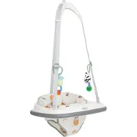 Graco Bumper Jumper, deurspringer, geschikt voor kinderen vanaf 6 maanden tot ongeveer 1 jaar (tot 12 kg), Up & Away
