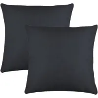 Stof Textile sierkussen Bea - 2x - antraciet - 50 x 50 cm - bank kussens - zitkussens - binnen/buiten - polyester