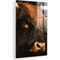 MuchoWow Glasschilderij 120x180 cm - Schilderij acrylglas - Schotse hooglander - Zwart - Koe - Hoorn - Dieren - Foto op glas - Muurdecoratie woonkamer - Wanddecoratie slaapkamer - Schilderijen