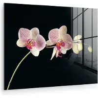 MuchoWow Glasschilderij 160x120 cm - Schilderij acrylglas - Orchidee - Bloemen - Zwart - Roze - Knoppen - Foto op glas - Muurdecoratie woonkamer - Wanddecoratie slaapkamer - Schilderijen