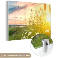MuchoWow Glasschilderij 180x120 cm - Schilderij acrylglas - Bloemen - Madelief - Natuur - Zon - Horizon - Foto op glas - Muurdecoratie woonkamer - Wanddecoratie slaapkamer - Schilderijen