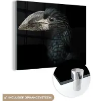 MuchoWow - Glasschilderij - Foto op glas - Acrylglas - Neushoornvogel - Dier - Snavel - Zwart wit - Vogel - 160x120 cm - Schilderij glas - Glasschilderij vogels - Glasschilderij zwart wit