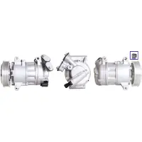 Lucas ACP01096 Aircopomp