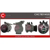 Casco CAC83012GS Aircopomp
