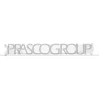 PRASCO PR7501612 Schokdemper, bumper