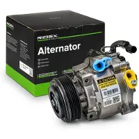 RIDEX 447K0245R Aircopomp