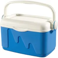 Curver Koelbox - 10L - Grijs