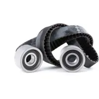 INA Distributieriemset 530011310 Ina voor o.a. FIAT, IVECO, OPEL, RENAULT