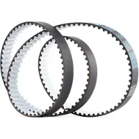 DAYCO 941033 Distributieriem