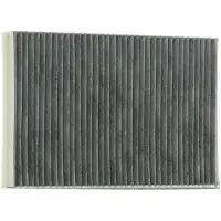 Valeo 698875 Interieurfilter