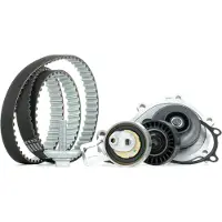 INA 530 0698 30 Distributieriem set + waterpomp