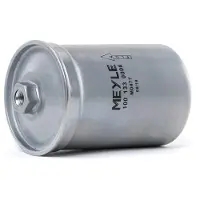 Meyle Brandstoffilter 100 133 0006