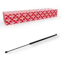 FEBI BILSTEIN 175321 Gasveer achterklep