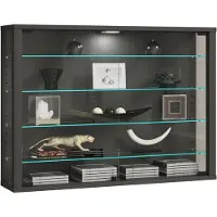 VCM VitrosaL vitrinekast wandmontage 2 glazen deuren antraciet.