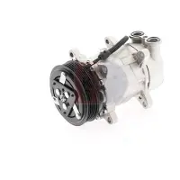 AKS DASIS 850514N Aircopomp