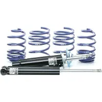 H&R 40484-1 Schokdemper met veer