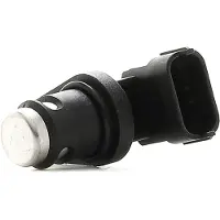 Ngk 81119 Nokkenassensor