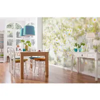 Overig Komar Fotobehang Daisies