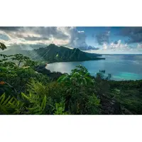 Overig Fotobehang Jurassic Island - Meerkleurig - 2,80m X 450cm