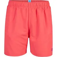 Arena Boardshorts 'FUNDAMENTALS BOXER R' framboos