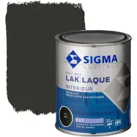 Sigma Lak Interieur mat 9005 gitzwart
