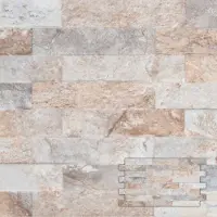 Overig Steenstrip Farilya - Crème - Keramiek - 25x45 Cm - 0,85 M²