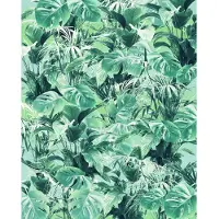 Overig Fotobehang Evergreen - Groen - 2,50m X 200cm