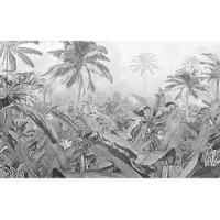 Overig Amazonia Fotobehang Black & White - Grijs - 2,50m X 400cm