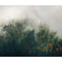Overig Fotobehang Tales Of The Carpathians - Groen - 2,50m X 300cm